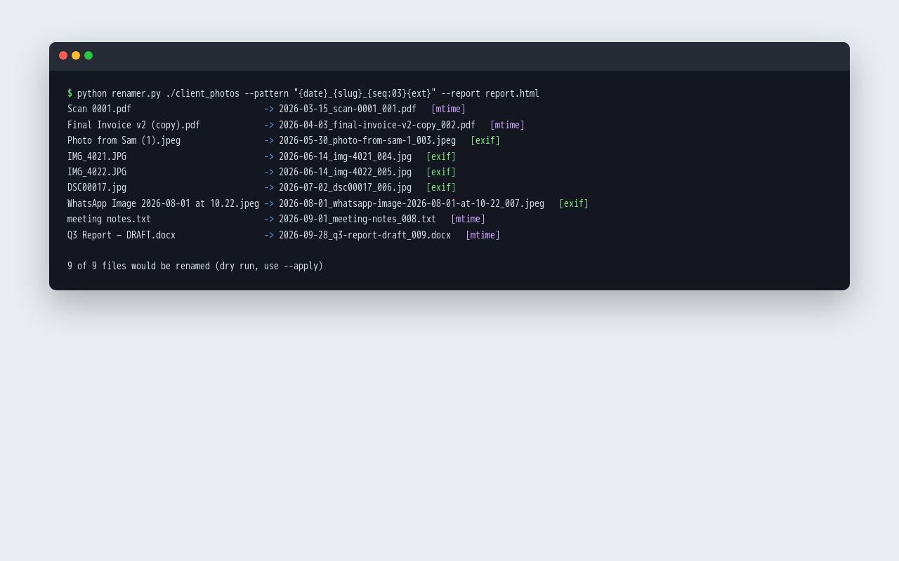 Bulk file renamer with dry run, undo and report, second view